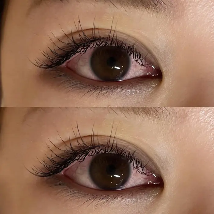 マツエク 1本 ナチュラルデザイン 目頭から D12 13 C13 太さ 0 1 Caren By Neolive所属 森田 春香のマツエク デザイン ミニモ マツエク 1本 ナチュラルデザイン 目頭から D12 13 C13 太さ 0 1 Caren By Neolive所属 森田 春香のマツエク デザイン ミニモ