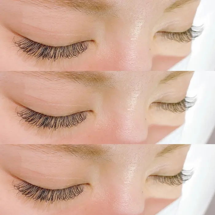 フラットラッシュ Dカール 1本 セクシースタイル Pink Lgoon所属 Pinklagoon 横浜西口店のマツエク デザイン ミニモ