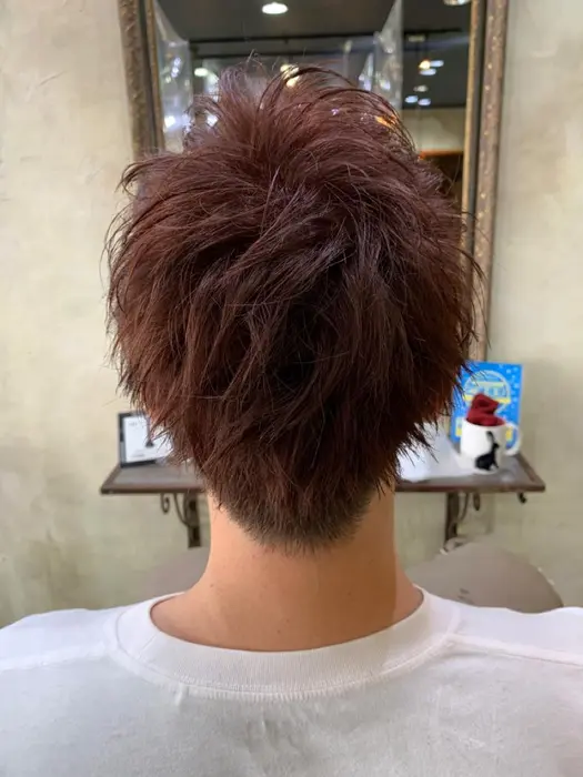 暖色系艶カラー 2ブロック メンズショート メンズカラー メンズカットカラー N Jolie ナンバージョリ 所属 Jolie 由香莉のヘア カタログ ミニモ 暖色系艶カラー 2ブロック メンズショート メンズカラー メンズカットカラー N Jolie ナンバージョリ 所属 Jolie 由香莉のヘア カタログ ミニモ