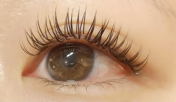 お客様デザイン キュートデザイン Dカール 0 2mm 10 11 Caren By Neolive所属 野中 一葉のマツエクデザイン ミニモ