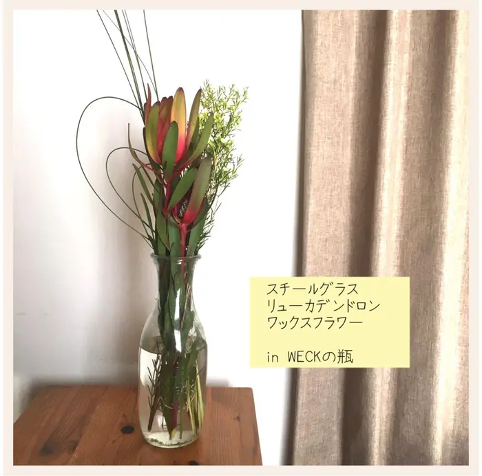 リューカデンドロンの花言葉は もの言わぬ恋 閉じた心を開く 沈黙の恋 誰でも一度は経 Polaサロン Viage所属 高田 紀子のヘアカタログ ミニモ