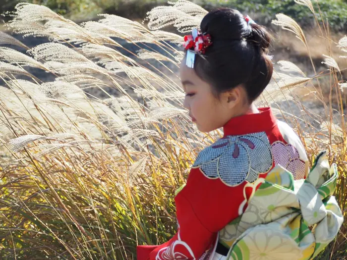 Pomponner所属 市川 清美のヘアカタログ ミニモ