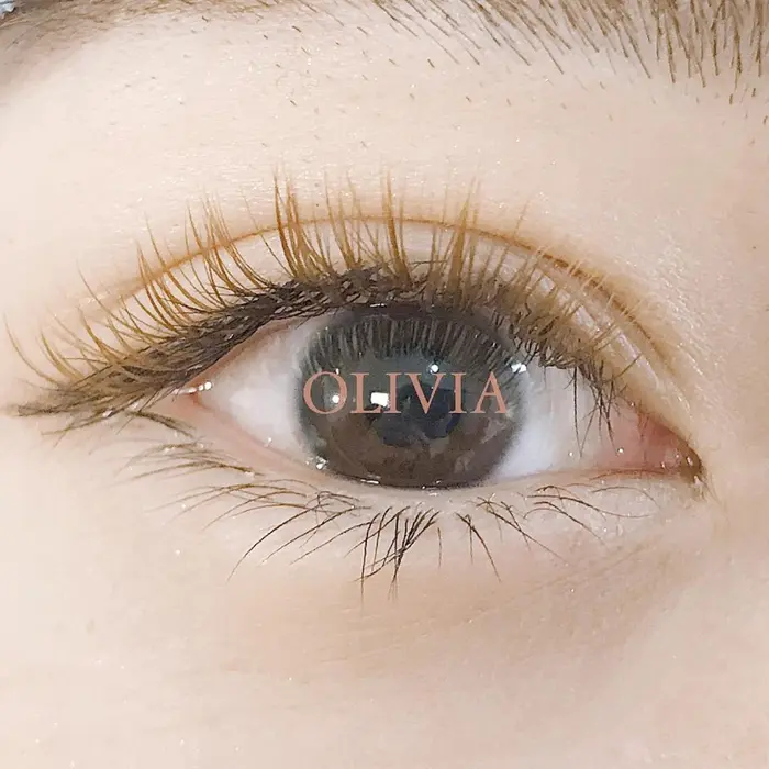 ブラウンカラーボリュームラッシュ 500本 Olivia Omotesando所属 瀬戸 ゆうのマツエクデザイン ミニモ ブラウンカラーボリュームラッシュ 500本 Olivia Omotesando所属 瀬戸 ゆうのマツエクデザイン ミニモ