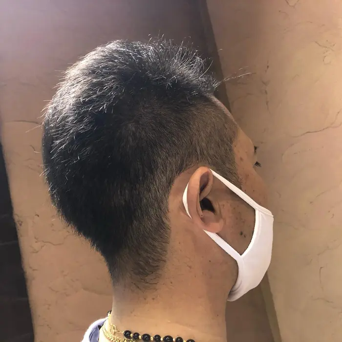 鑑定 細部 メーター 野田 阪神 美容 院 メンズ Naibaraminiatureschnauzers Com