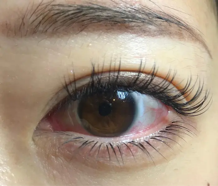 上下ミンクエクステ 上 ミンクエクステ100本 Scカール 12 12 13ミリ 下 ミンク Renata 新宿所属 Renata 新宿のマツエクデザイン ミニモ