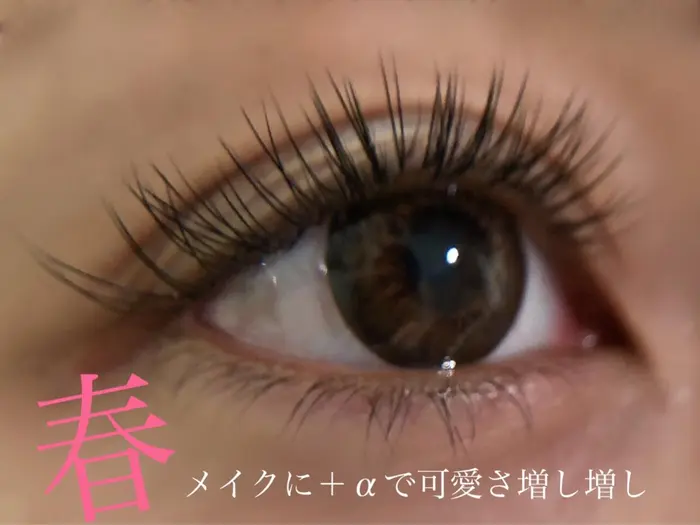 二重の幅に合った似合せデザイン Felice Eye Lab所属 Felice 別宮佑希のマツエクデザイン ミニモ