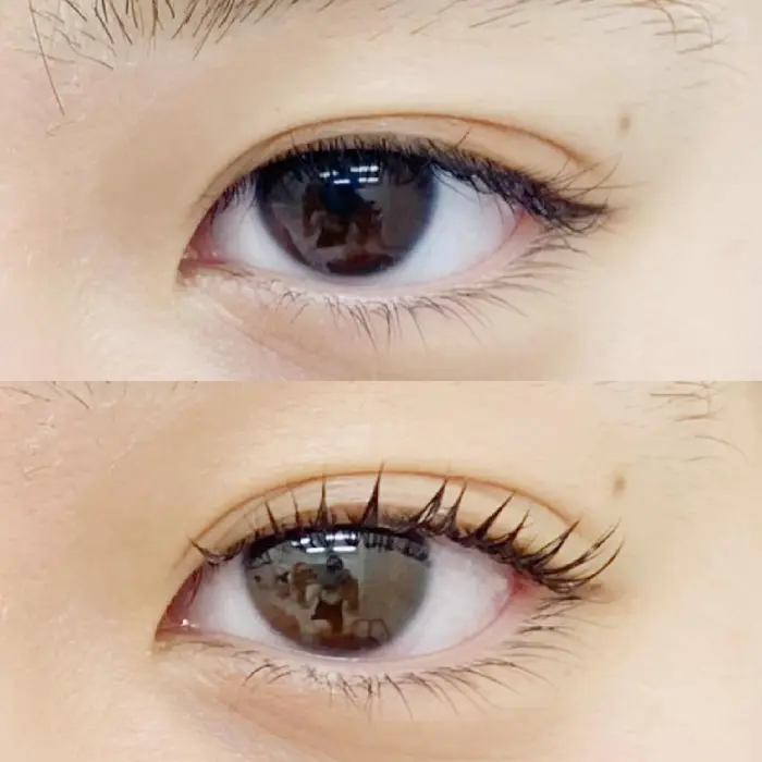 ビフォー アフター Dカール 根元から真上に直角にあがるようなカール まつげパーマ専門店 シャルナ柏店所属 まつげパーマ専門店 シャルナ 柏 店のヘアカタログ ミニモ