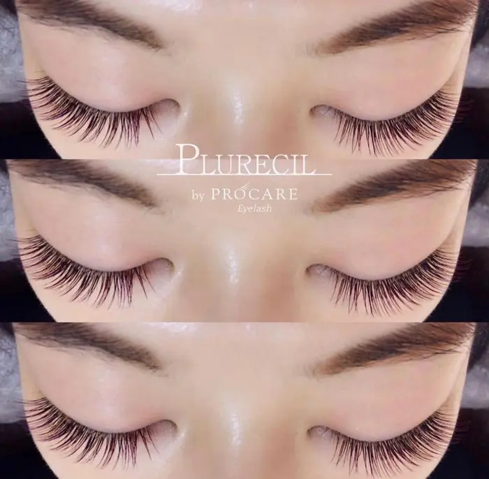 カラーエクステ ボルドーカラー プルレシル バイ プロケアアイラッシュ北千住店所属 Plurecil 北千住店のマツエク デザイン ミニモ