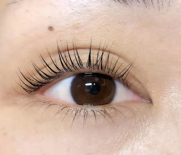 アイラッシュマルヴァ姶良イオン店所属 國生 亜弥のマツエクデザイン ミニモ