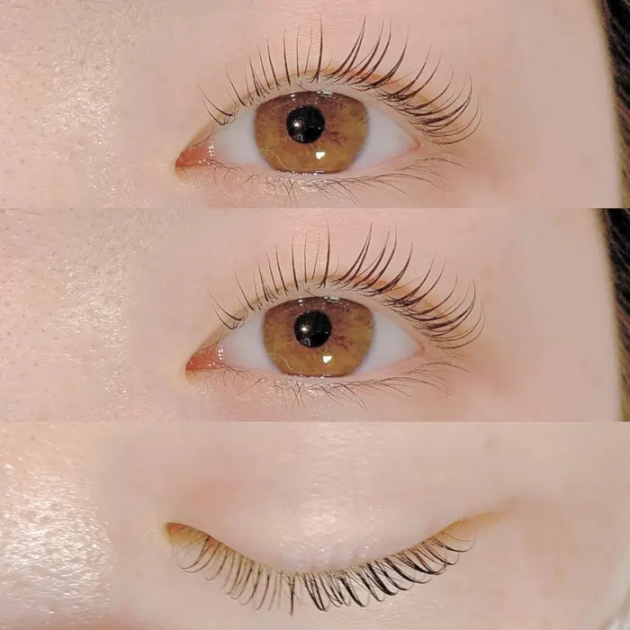 まつ毛パーマ Pink Lgoon所属 Pinklagoon 横浜西口店のヘアカタログ ミニモ