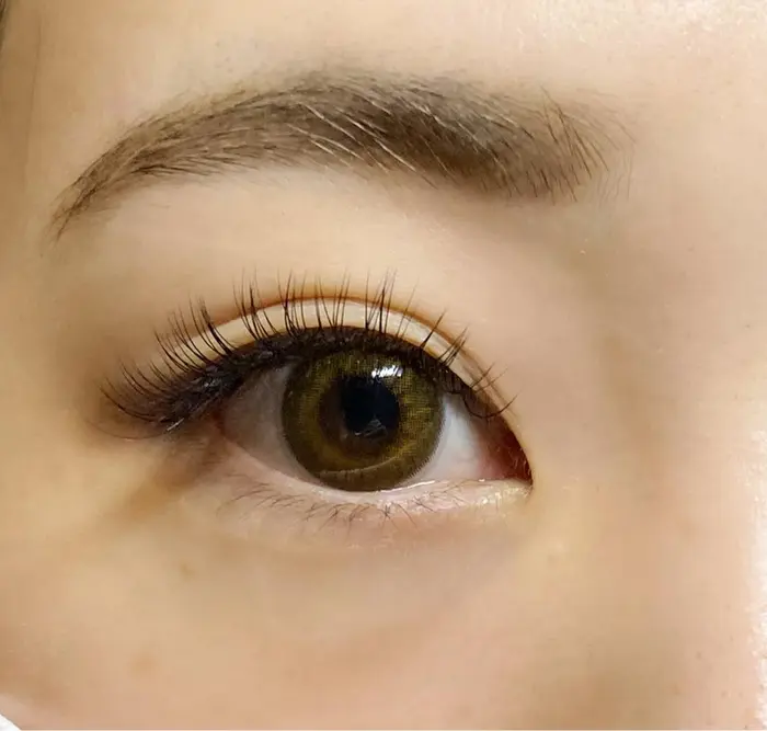 フラットラッシュ【〜180本付け放題】¥6000｜vive eyelash所属・vive eyelashのマツエクデザイン