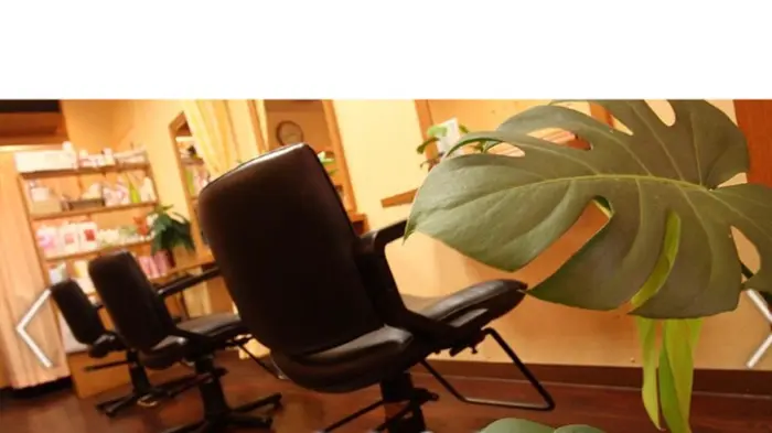 美容室pureの美容室 美容院 スタッフ情報 河村 恭子 ミニモ