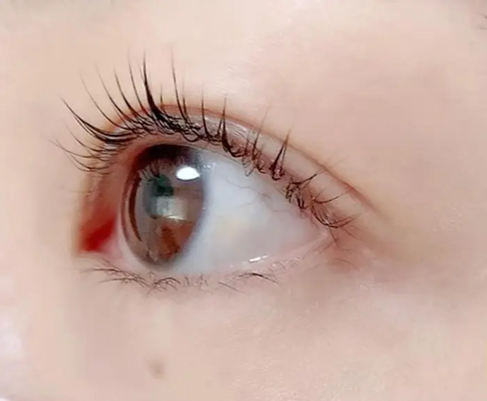 Hi Eyelash Salon 北浦和のマツエクサロン アイデザイナー情報 Hi Eyelash Salon 北浦和 ミニモ