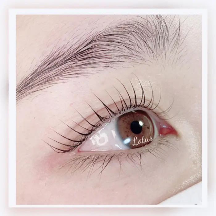 Lotusのマツエクサロン アイデザイナー情報 Lotus ロータス ミニモ