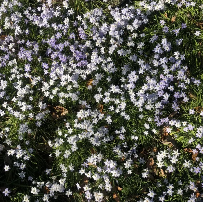 Progress荻窪店の美容室 美容院 スタッフ情報 松澤 樹里 ミニモ