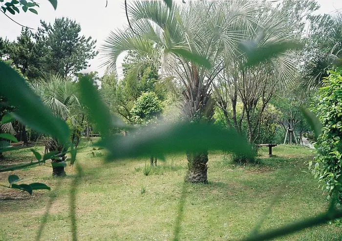 Primaの美容室 美容院 スタッフ情報 Prima 西宮北口店 ミニモ