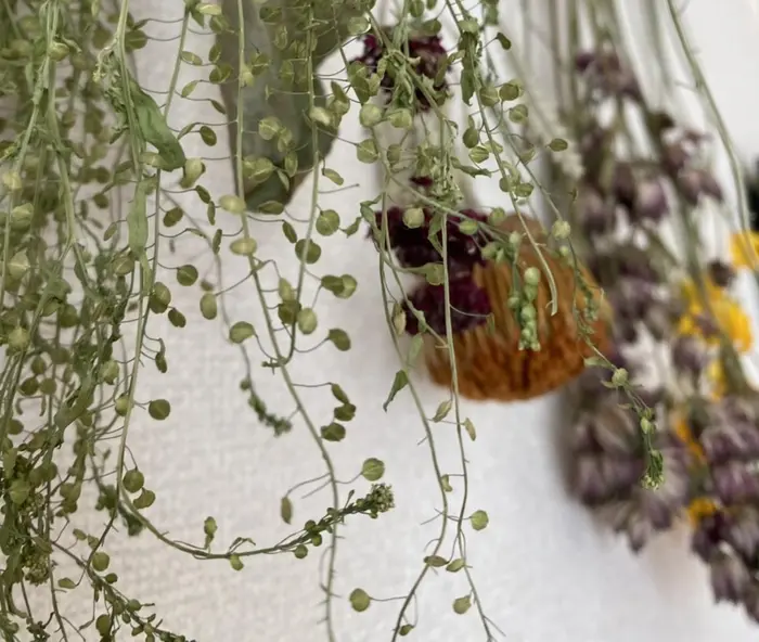 Lattan松戸東口店の美容室 美容院 美容師情報 チョリ 備前歩海 ミニモ