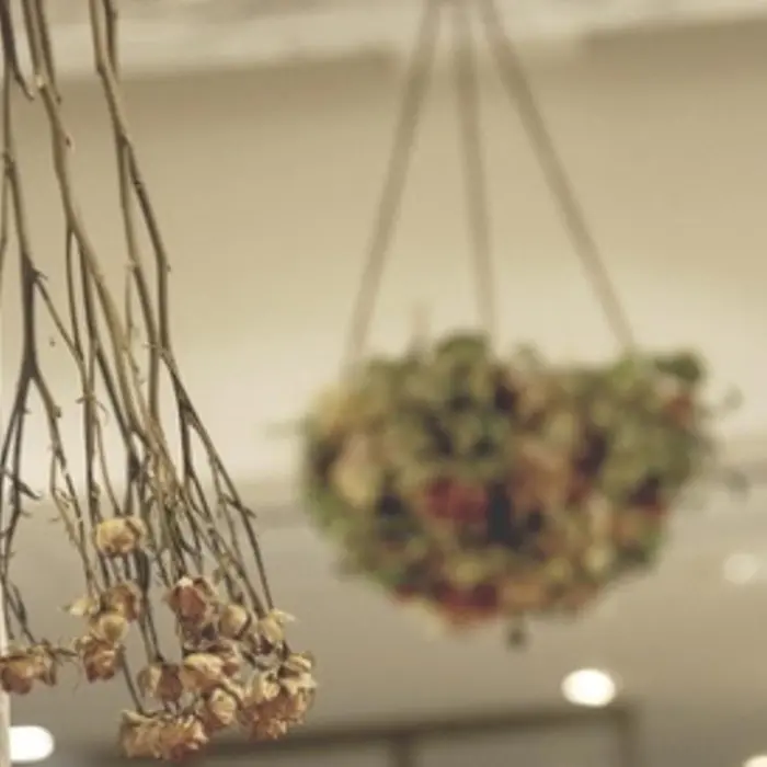 Cotonoha Hair Relaxation 大宮店 コトノハ の美容室 美容院 スタッフ情報 大野 莉奈 ミニモ