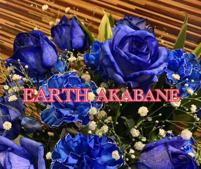 Earth赤羽店のマツエクサロン アイデザイナー情報 村田 瑠南 ミニモ