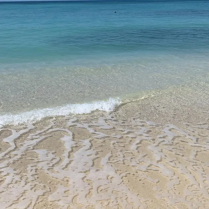 Diar Blue藤沢店のマツエクサロン スタッフ情報 運天 胡乃 ミニモ